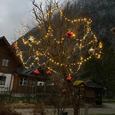 Ferienwohnung Bon Wab Hallstatt Buitenkant foto