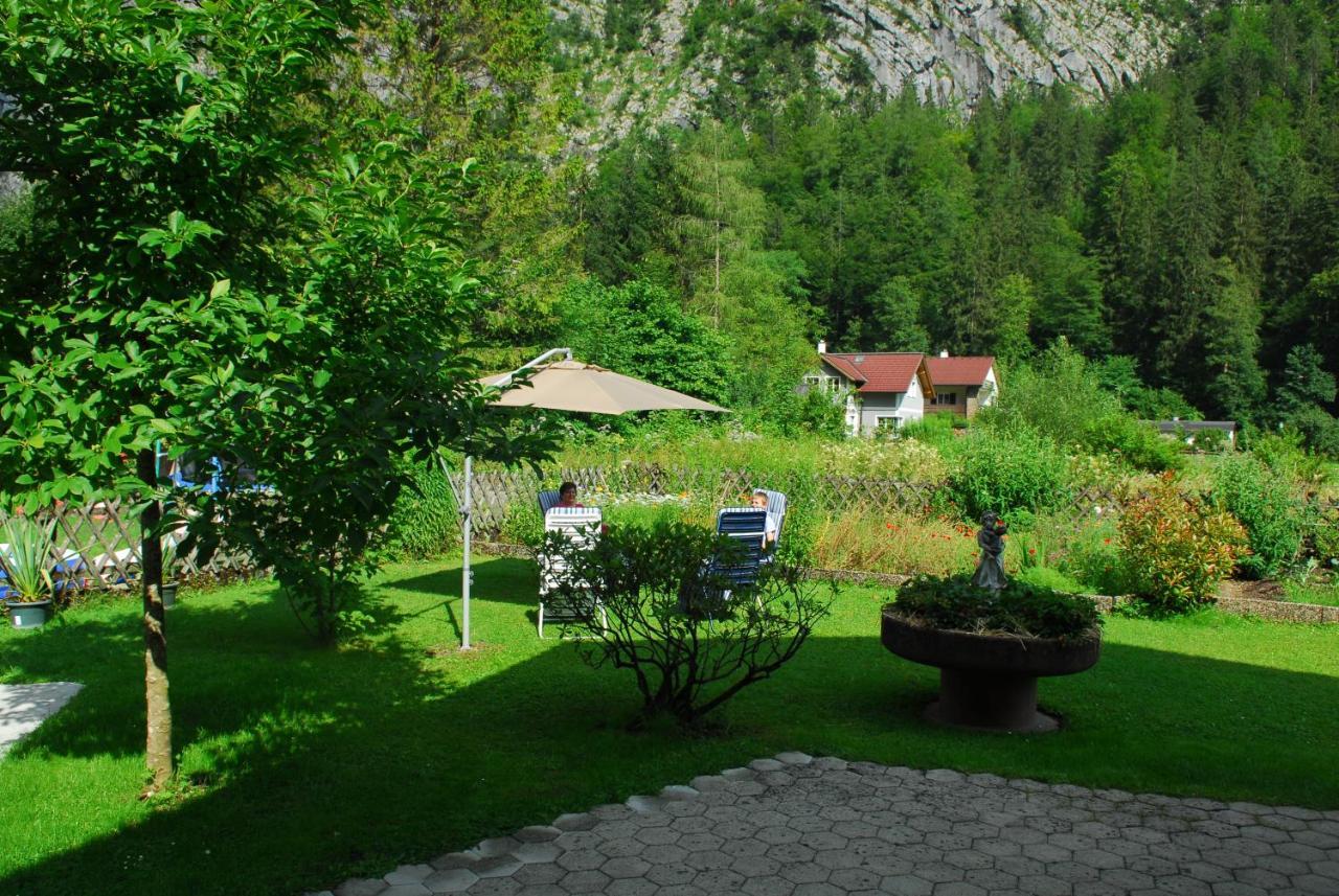Bon Wab * Hallstatt